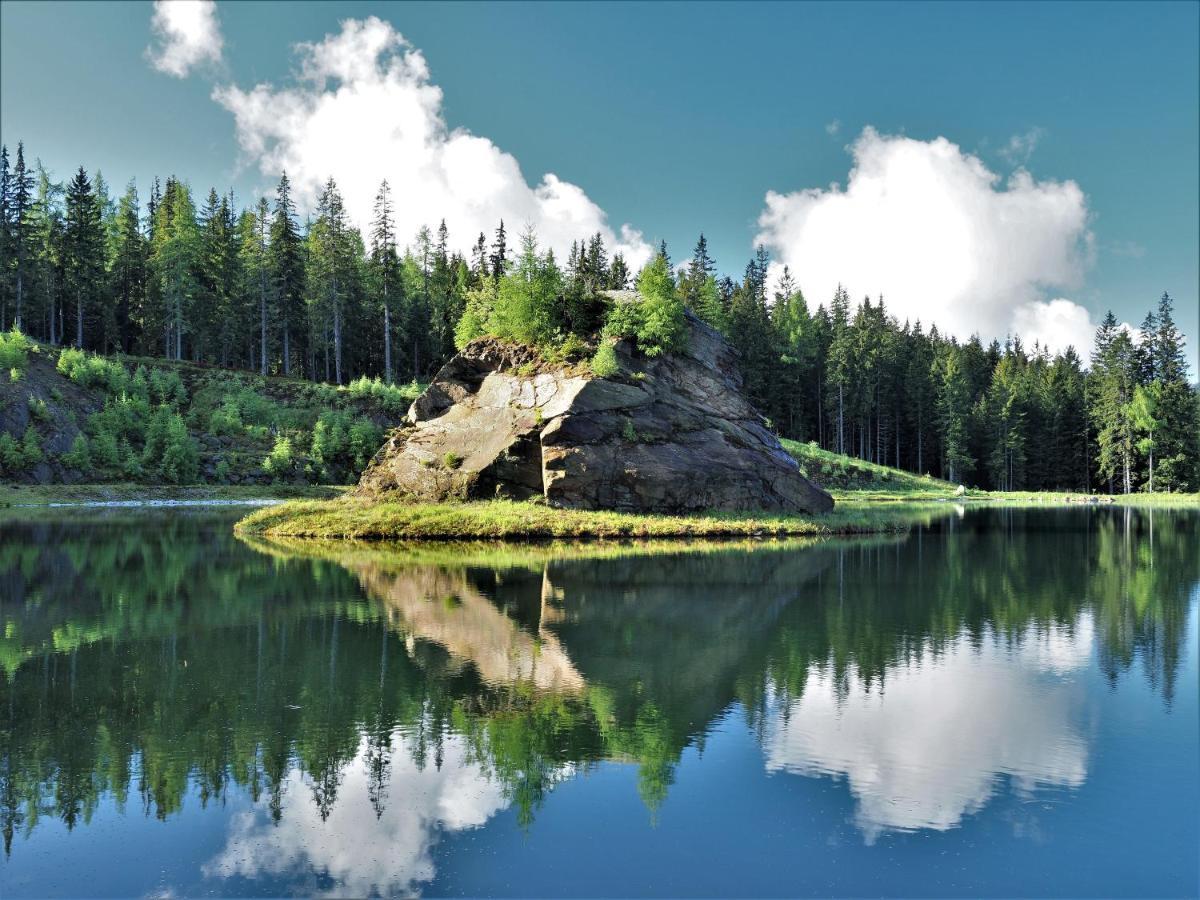 Naturforsthaus Gartenblick Fuer Hunde - Und Naturverbundene Menschen Preitenegg Εξωτερικό φωτογραφία