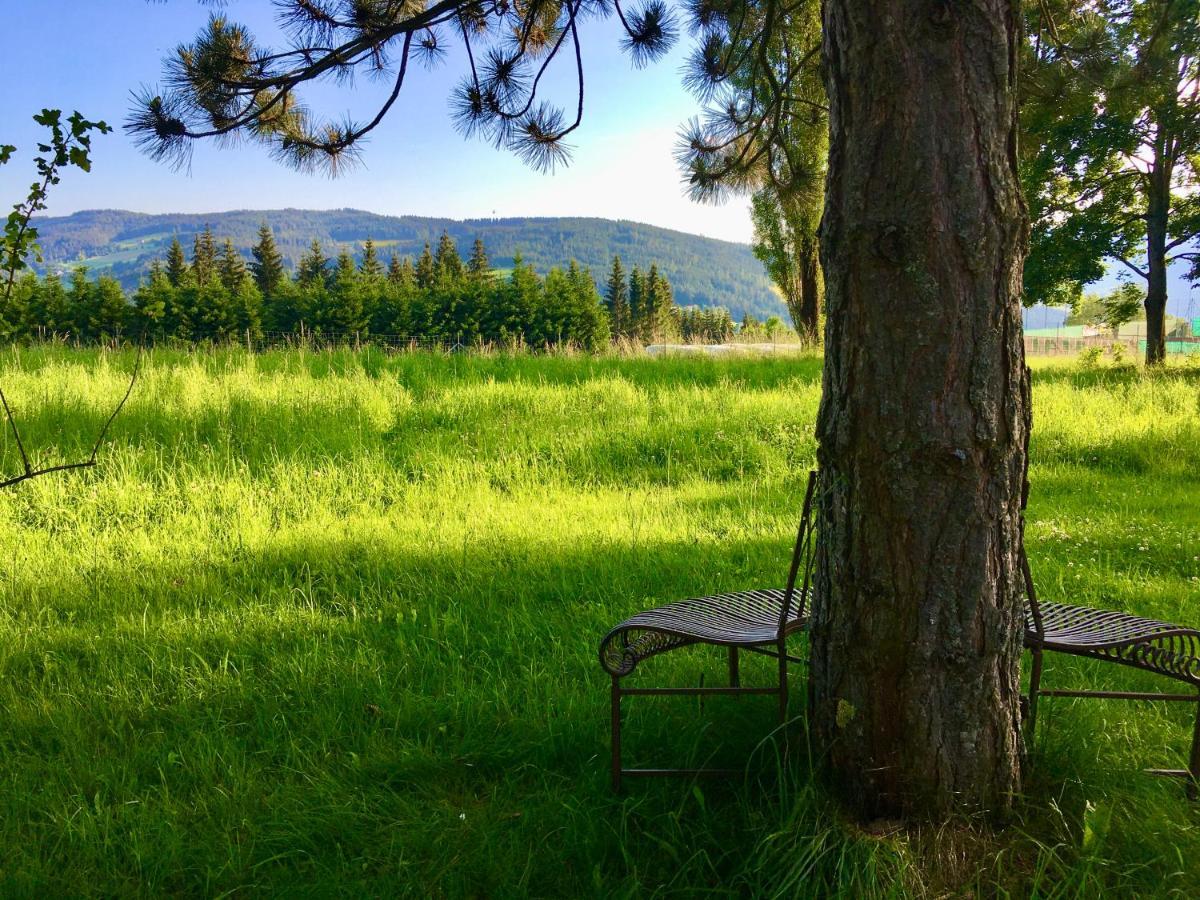 Naturforsthaus Gartenblick Fuer Hunde - Und Naturverbundene Menschen Bed and Breakfast Preitenegg Εξωτερικό φωτογραφία