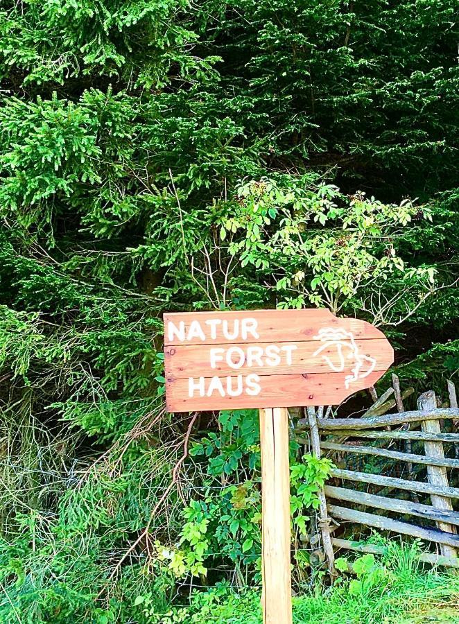 Naturforsthaus Gartenblick Fuer Hunde - Und Naturverbundene Menschen Preitenegg Εξωτερικό φωτογραφία