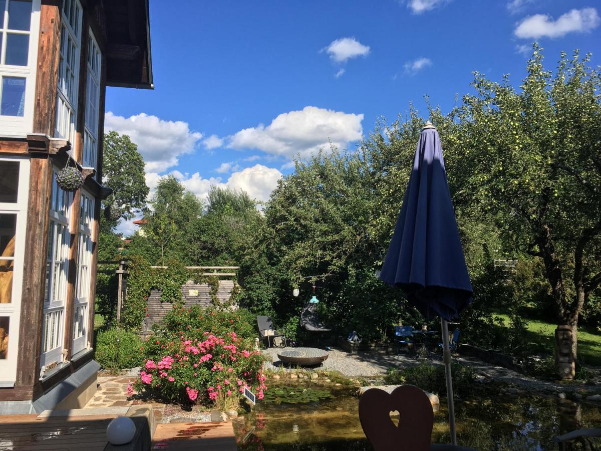 Naturforsthaus Gartenblick Fuer Hunde - Und Naturverbundene Menschen Preitenegg Εξωτερικό φωτογραφία