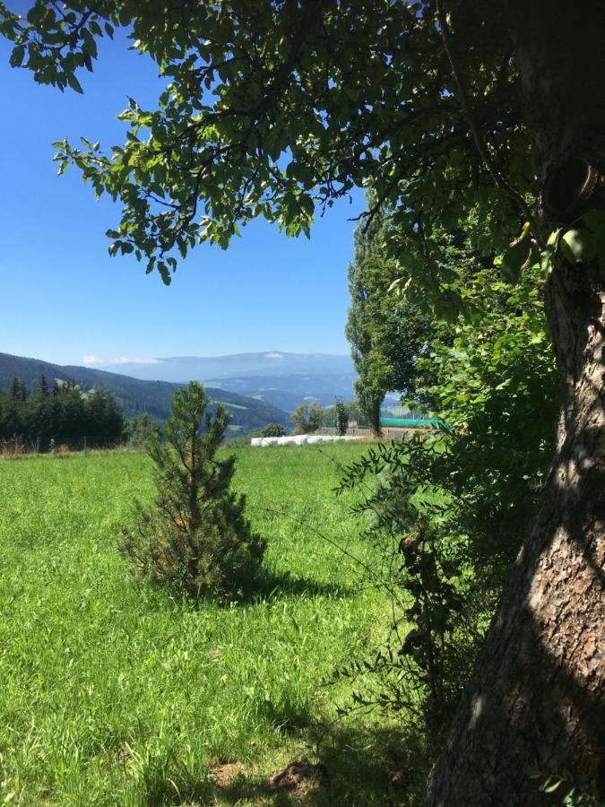 Naturforsthaus Gartenblick Fuer Hunde - Und Naturverbundene Menschen Preitenegg Εξωτερικό φωτογραφία