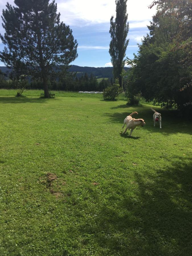 Naturforsthaus Gartenblick Fuer Hunde - Und Naturverbundene Menschen Bed and Breakfast Preitenegg Εξωτερικό φωτογραφία